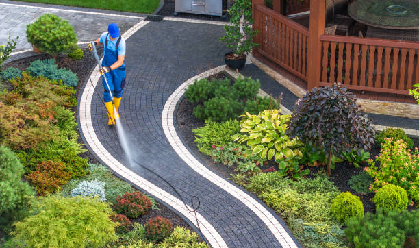 Best House Pressure Washing  in Longmont, CO