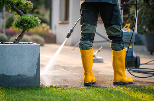 Best Power Washing Near Me  in Longmont, CO